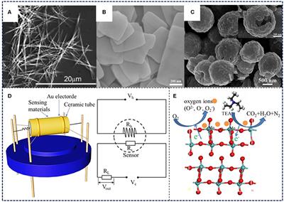 Volatile Organic Compounds Gas Sensors Based on Molybdenum Oxides: A Mini Review